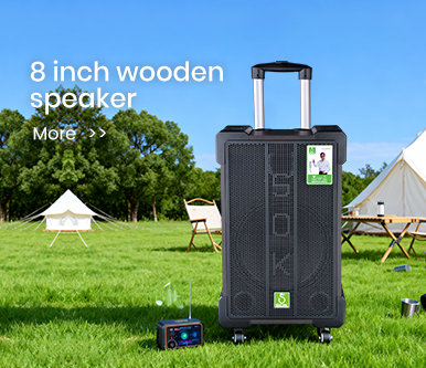 8 inch wooden speaker