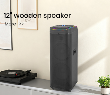 12 inch speaker